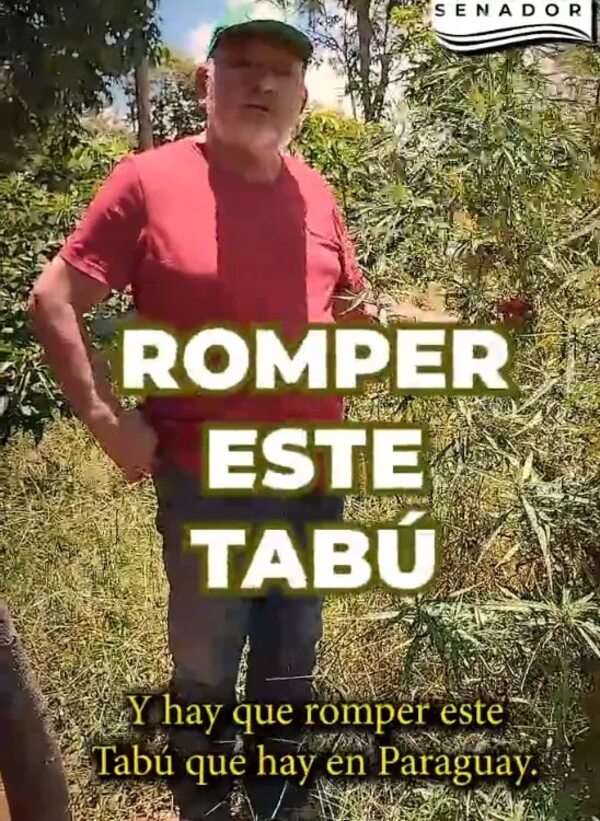 Con un video Sixto Pereira propone legalizar cultivo y comercialización de marihuana - Política - ABC Color