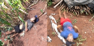 Presuntos rateros mueren electrocutados en una propiedad rural de Minga Guazú - La Clave