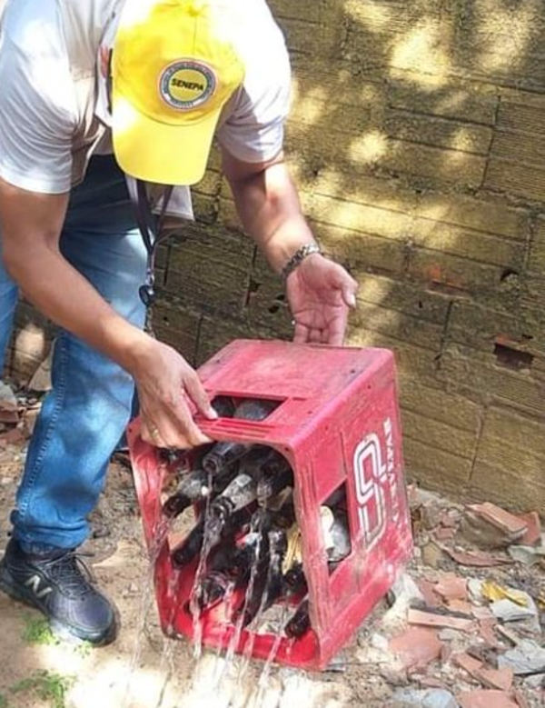 Salud Pública insta a tomar conciencia y eliminar eficazmente los criaderos de mosquitos - .::Agencia IP::.