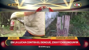 Guerra a los mosquitos: Comuna de Lamabaré limpia baldío - C9N