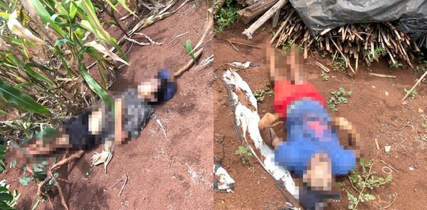 Presuntos rateros mueren electrocutados en una propiedad rural de Minga Guazú
