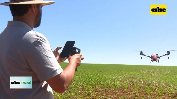 Causas de pérdida de eficiencia de químicos y uso de biológicos - ABC Rural - ABC Color