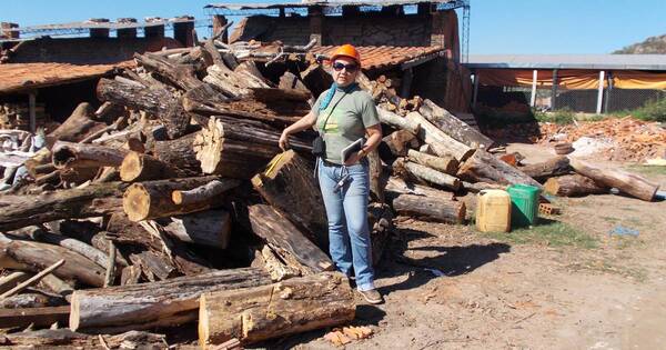 La Nación / Cerámicas no cuentan con plantaciones propias ni bosques para un manejo sustentable