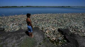 Preocupante sequía en Argentina, miles de peces aparecen muertos. – Prensa 5