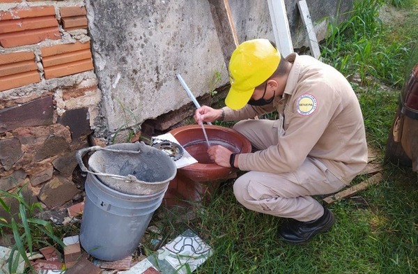 Alarma en Itapúa con casos sospechosos de chikungunya