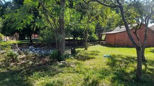 Aumentan casos sospechosos de dengue y chikunguña en departamento de Caaguazú - Nacionales - ABC Color