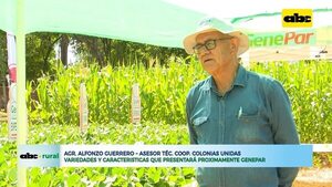 Preparan nuevas variedades de soja para próximos lanzamientos - ABC Noticias - ABC Color