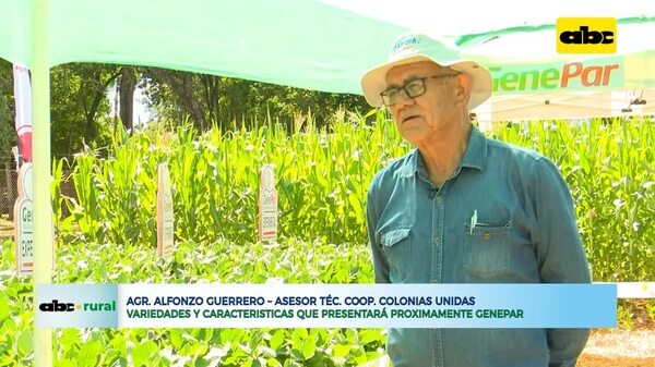 Preparan nuevas variedades de soja para próximos lanzamientos - ABC Noticias - ABC Color