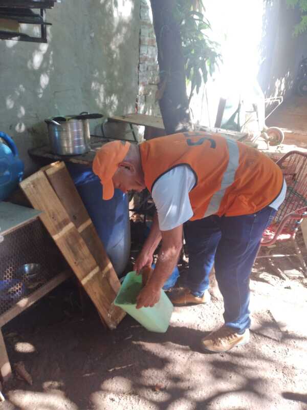Intensifican rastrillaje en Central y Asunción para eliminar criaderos de mosquitos - ADN Digital