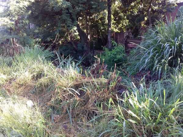 Vecinos del barrio Guaraní divididos por un desagüe cloacal que estaría direccionado a un arroyo - Radio Imperio
