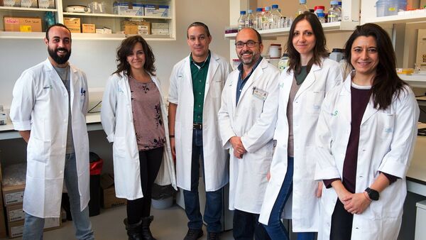 La ciencia abre una vía para tratar la lesión medular