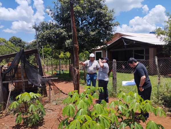 Allanan chacra donde dos presuntos rateros murieron electrocutados - La Clave