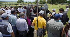 Lanzaron el primer periodo de vacunación contra la fiebre aftosa y la brucelosis
