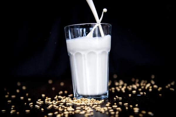 Sustitutos de la leche, ¿son sanos y sustentables? - Estilo de vida - ABC Color