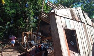 Invasión de “kupi´i” preocupa a vecinos y ya derrumbó una vivienda