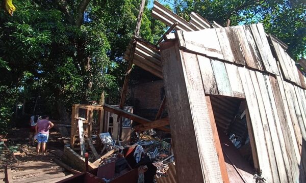 Invasión de “kupi´i” preocupa a vecinos y ya derrumbó una vivienda