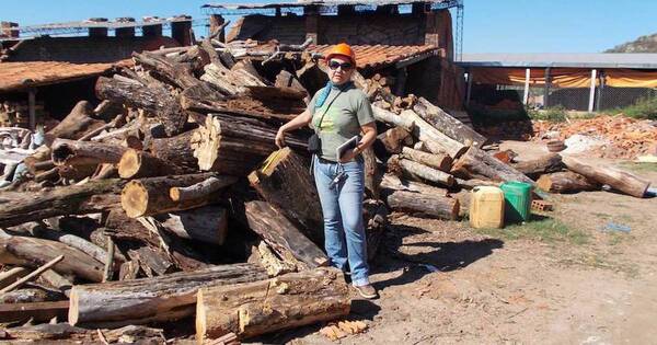 La Nación / Cerámicas no cuentan con bosques sustentables