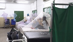 Preocupa aumento de casos de chikungunya y dengue en coexistencia con el COVID - Unicanal