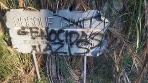 Vandalismo en el Parque Ñu Guasu: mensajes antisemitas en el “Bosque de Israel” - Nacionales - ABC Color