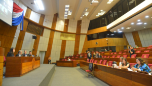 Congreso paraguayo pide Justicia para Fernando Báez y castigo a responsables