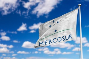 Consideran inviable e innecesario establecer una moneda común para el Mercosur - MarketData