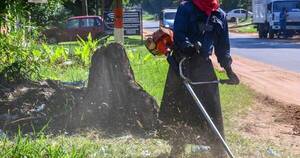 La Nación / Capiatá: Junta Municipal declaró emergencia distrital por casos de dengue y chikungunya