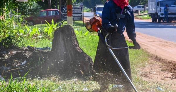 La Nación / Capiatá: Junta Municipal declaró emergencia distrital por casos de dengue y chikungunya