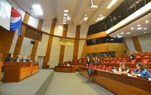 Congreso paraguayo pide justicia para Fernando Báez – Prensa 5