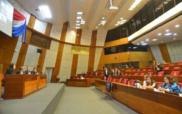 Congreso paraguayo pide justicia para Fernando Báez – Prensa 5