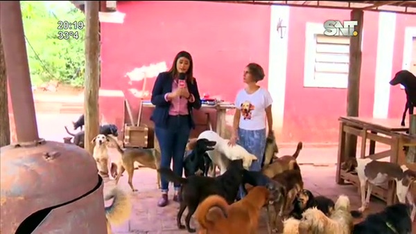 Jaguarenda: Un santuario de perros en Areguá - SNT