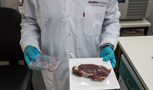 Carne de laboratorio es considerada como kosher por el Gran Rabino de Israel