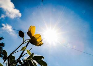 Meteorología anuncia día caluroso y chaparrones para este jueves - .::Agencia IP::.
