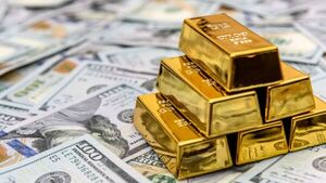 Las reservas se redujeron US$ 360 millones en el mes de enero | Análisis Macro | 5Días