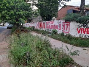 Chikunguña: Asunción tiene su “paseo” de los yuyales y los mosquitos - Nacionales - ABC Color