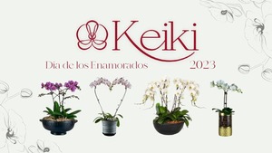 Diario HOY | Orquidiario online Keiki, con imperdibles descuentos por San Valentín
