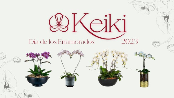 Diario HOY | Orquidiario online Keiki, con imperdibles descuentos por San Valentín
