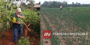 ITAPÚA TIENE ÓPTIMA CALIDAD EN PRODUCTOS PARA EL CONSUMO ASEGURAN DESDE EL SENAVE - Itapúa Noticias