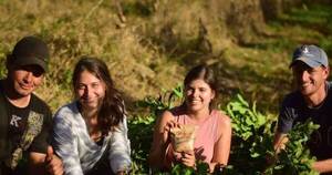La Nación / Brindarán herramientas a mujeres enfocadas en los agronegocios