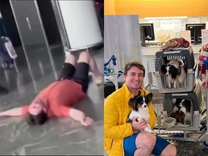 Aerolínea extravió a sus perros pero volvió a encontrarse con ellos un día después - Unicanal
