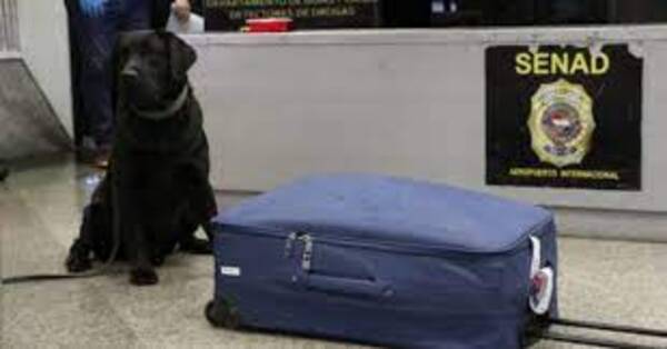 Autorizan análisis del celular de la mujer que pretendía transportar cocaína a Turquía