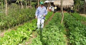 La Nación / FAO y Cancillería conversaron sobre proyectos para apoyar a productores paraguayos