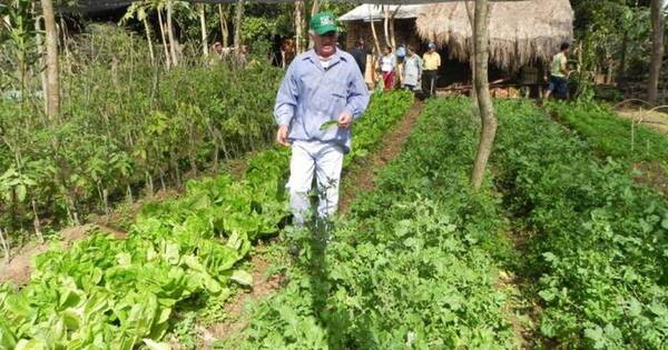 La Nación / FAO y Cancillería conversaron sobre proyectos para apoyar a productores paraguayos