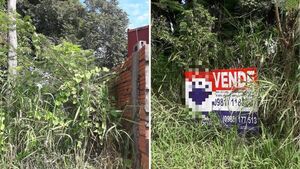 Denunció que dueño de patio baldío no limpia y ya le enfermó a su mamá
