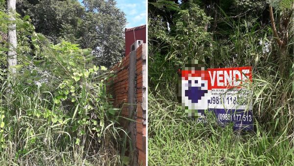 Denunció que dueño de patio baldío no limpia y ya le enfermó a su mamá