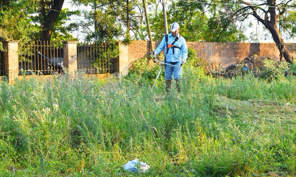 Municipalidad de Coronel Oviedo realizará recorridos y recibirá denuncias para intervención en terrenos baldíos - OviedoPress