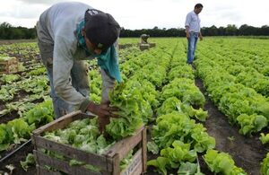 FAO y Cancillería conversaron sobre proyectos para apoyar a productores paraguayos.