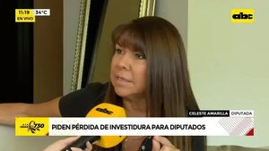 Piden pérdida de investidura para diputados - ABC Noticias - ABC Color