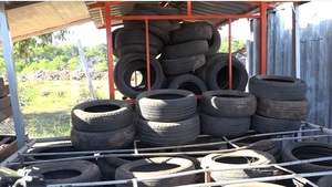 Instan a la recolección de neumáticos para evitar transmisión dengue, chikungunya y zika - Unicanal