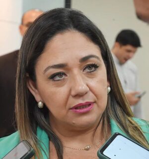 MEC: “Plan de Desarrollo Educativo 2040″ es el nuevo nombre del proceso de transformación educativa - Nacionales - ABC Color