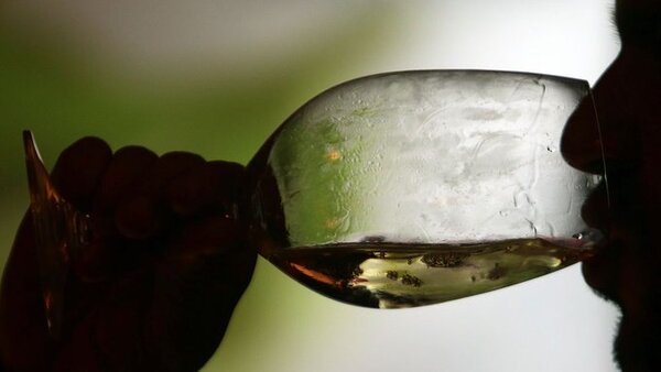 Portugal celebra el récord de ventas de sus vinos en 2022